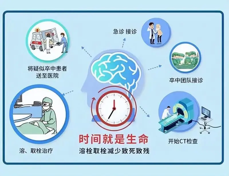 2025世界卒中日,读懂“尽早识别,立刻就医”的生死密码 2025世界卒中日,读懂“尽早识别,立刻就医”的生死密码
