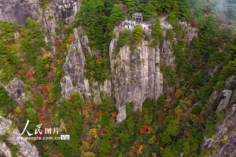 安徽黄山:峰林尽染秋意浓 安徽黄山:峰林尽染秋意浓