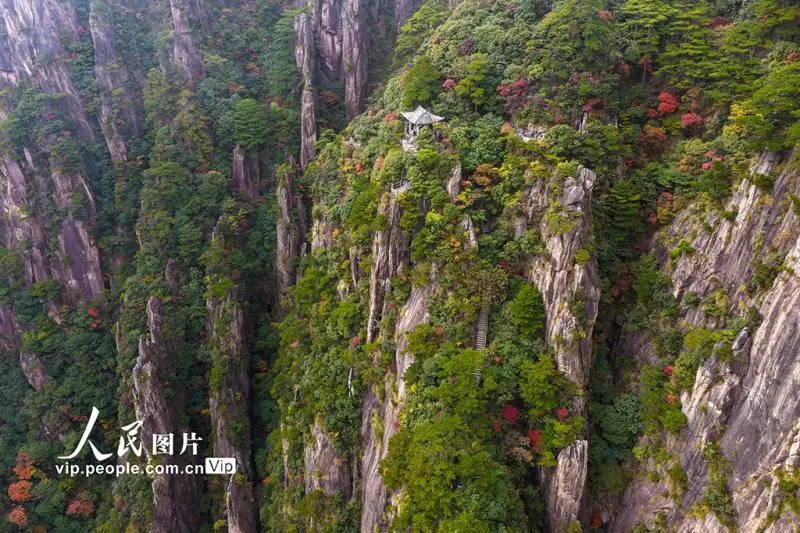 安徽黄山:峰林尽染秋意浓 安徽黄山:峰林尽染秋意浓