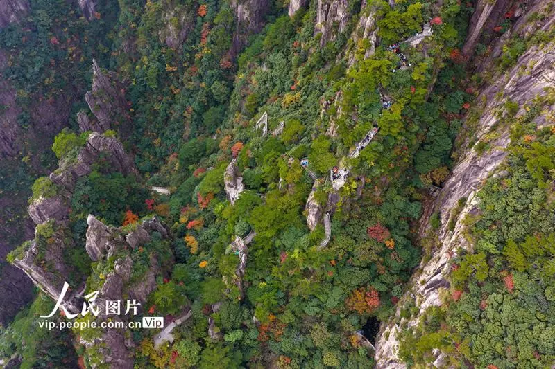 安徽黄山:峰林尽染秋意浓 安徽黄山:峰林尽染秋意浓