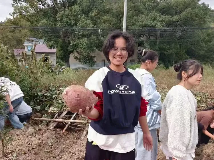 江西上饶汪村学校劳动课开展挖红薯实践活动 江西上饶汪村学校劳动课开展挖红薯实践活动