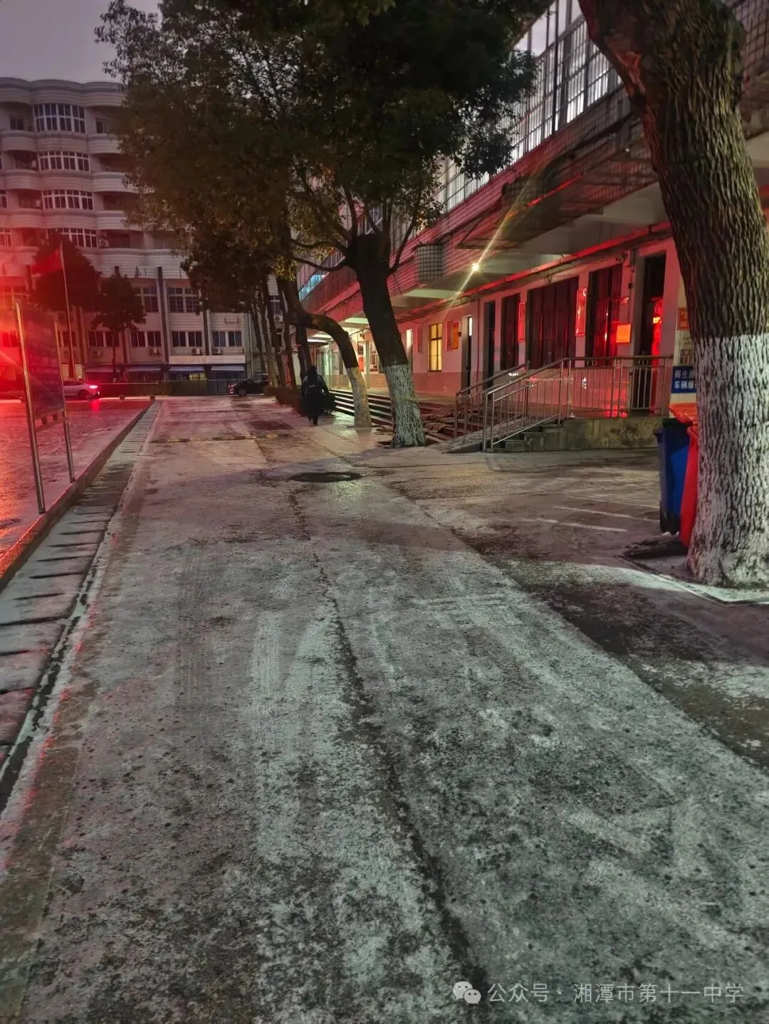 雪落初岁，温情暖心