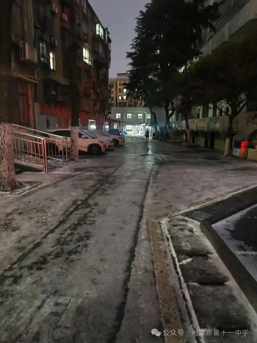 雪落初岁，温情暖心