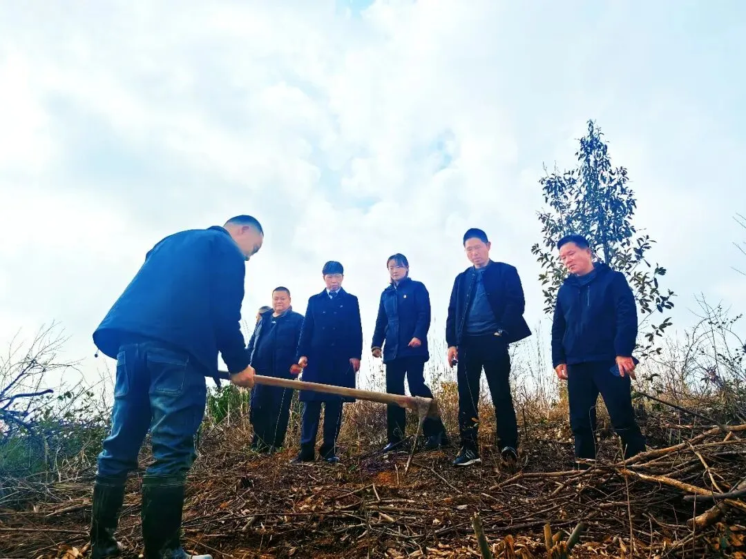 凝聚司法合力 筑牢生态屏障——湘潭县法检林联合开展判后"回头看"