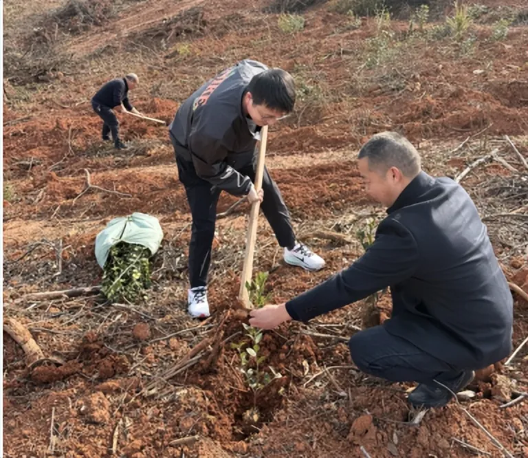 植此青绿 共“树”未来 ——工商银行湘潭县支行青年志愿者为美丽莲乡添新绿