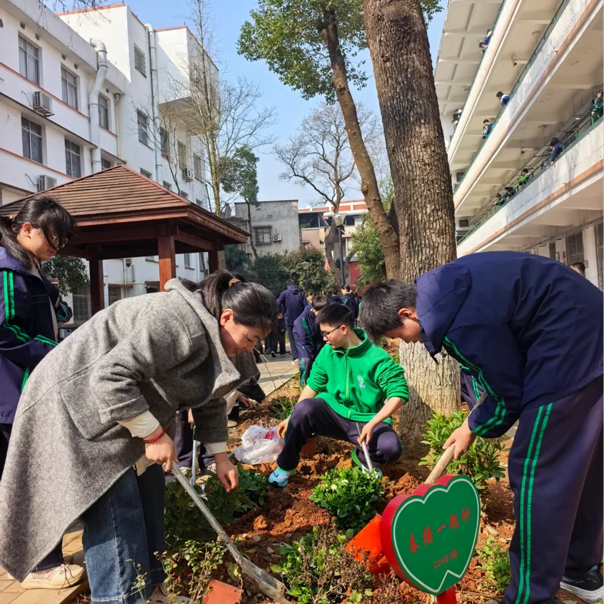 先锋植绿添新景 青春筑美绽芳华 ——湘机中学党团共建共绘校园生态画卷