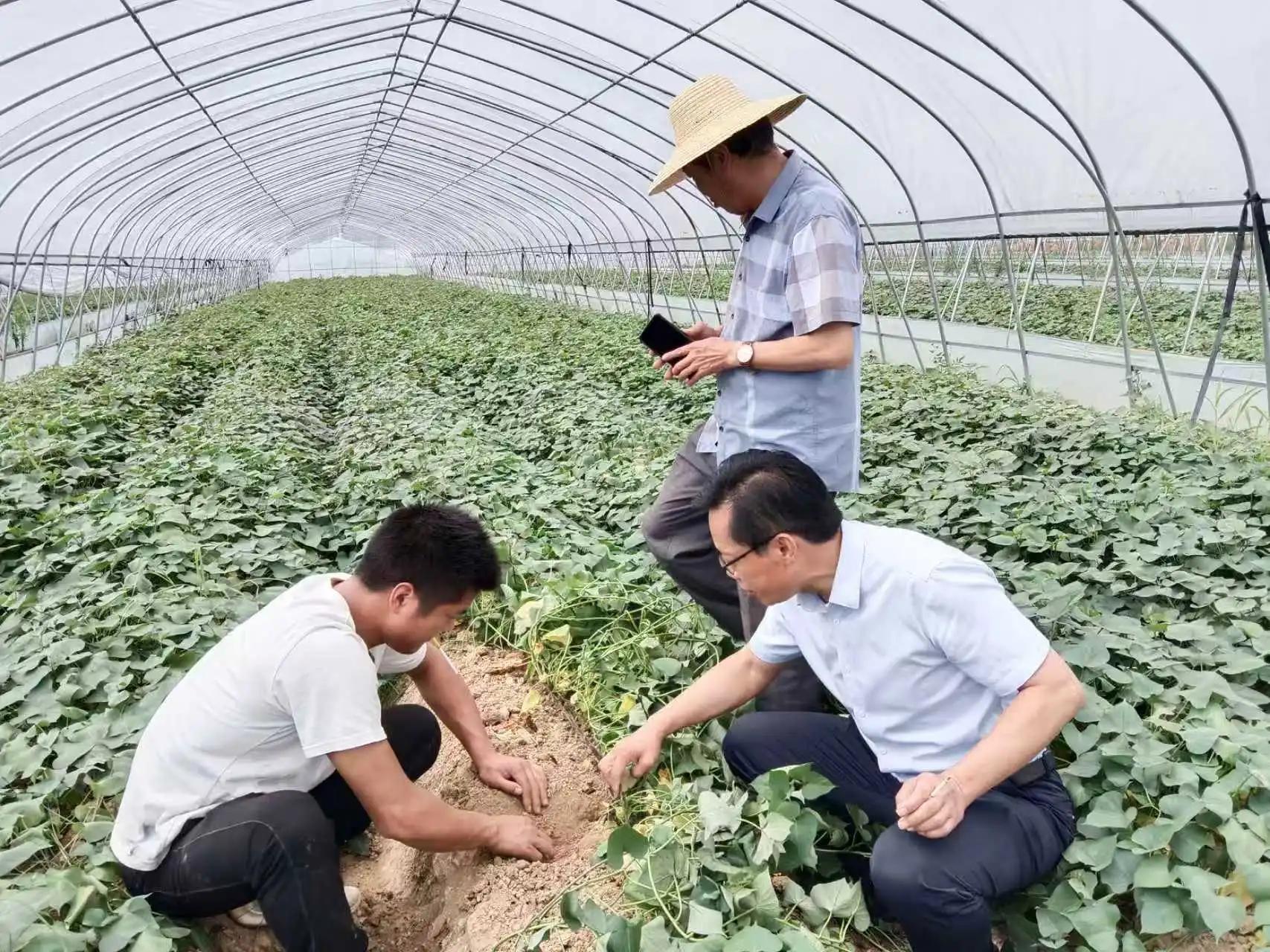 记----安徽省安庆市怀宁县石镜乡邓桥村响应国家号召-------绿水青山就是金山银山的纪实篇章!