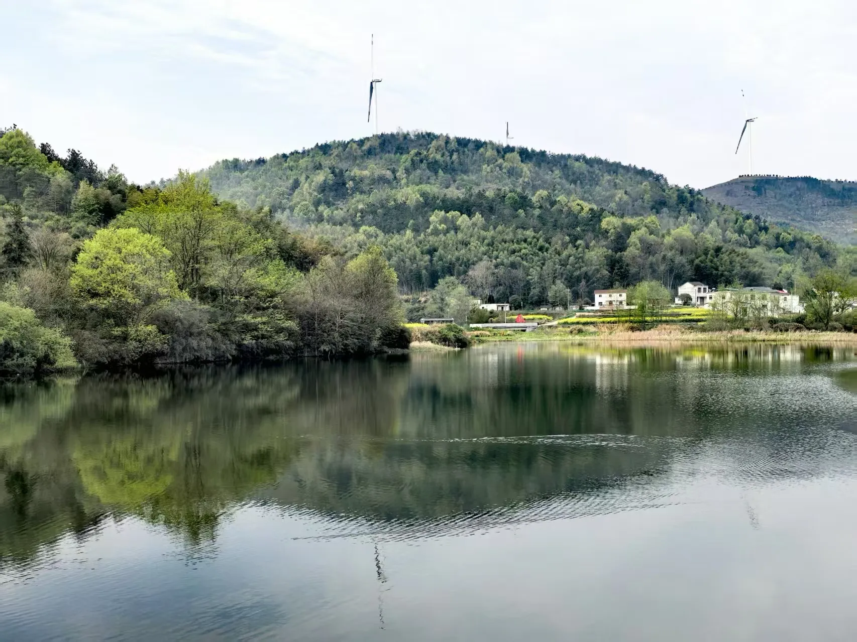 记----安徽省安庆市怀宁县石镜乡邓桥村响应国家号召-------绿水青山就是金山银山的纪实篇章!