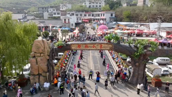 果香迎客！云南鲁甸樱桃上市 4月19日开启农文旅融合盛宴