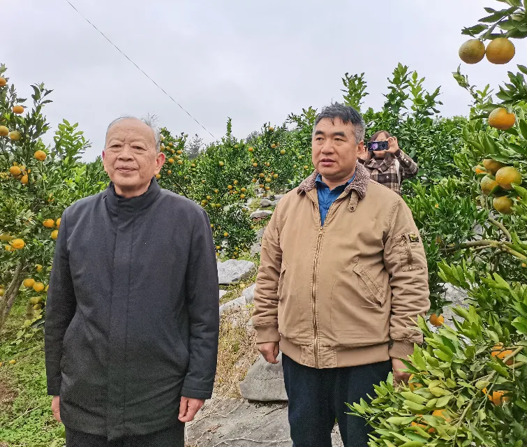 贵州遵义：传奇果农张祖卫