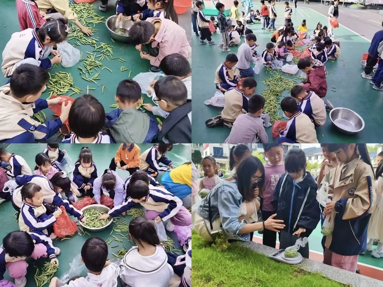 玉山紫湖中心小学: 劳动促成长,实践出真知