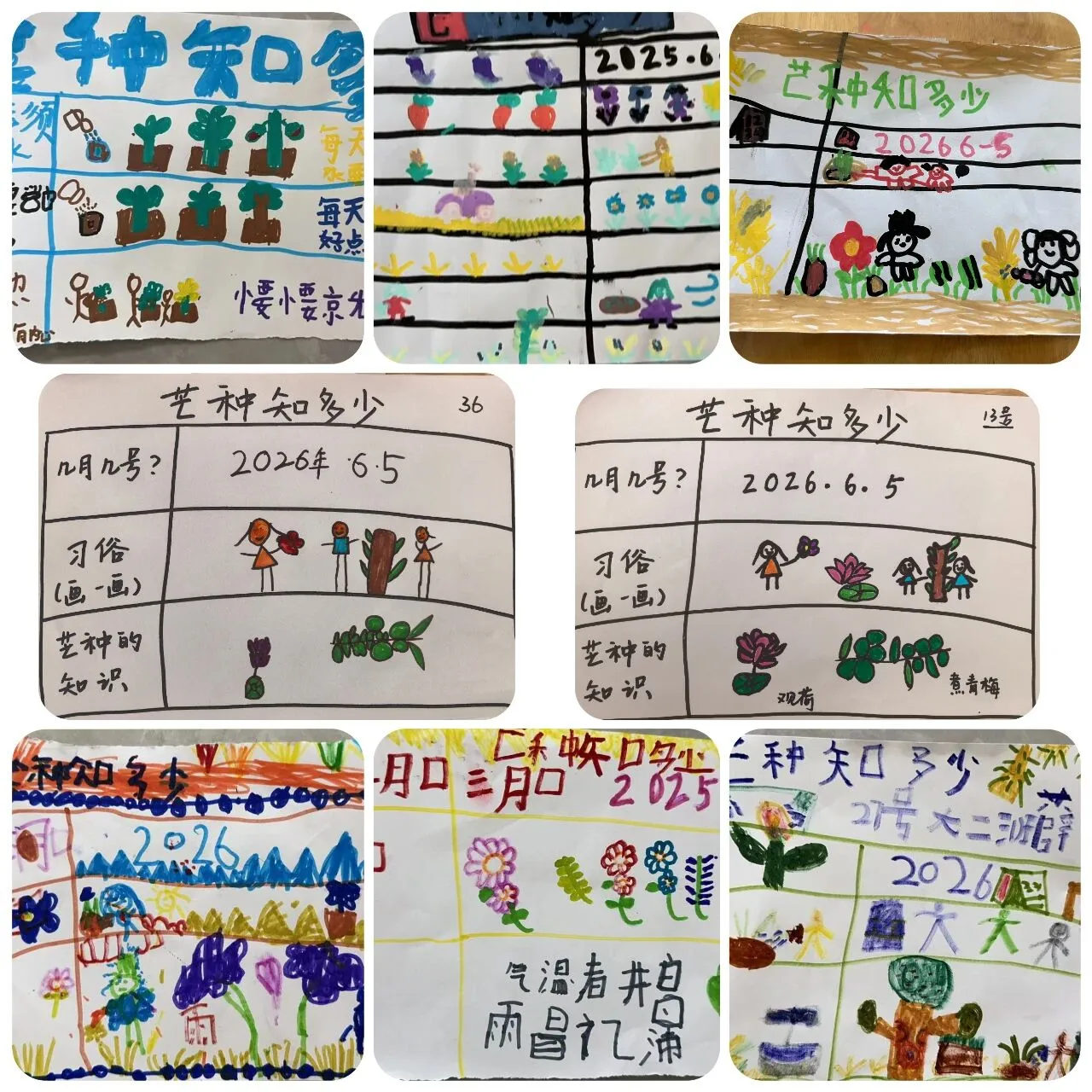 【四幼·节气活动】风吹麦成浪,蝉鸣夏始忙