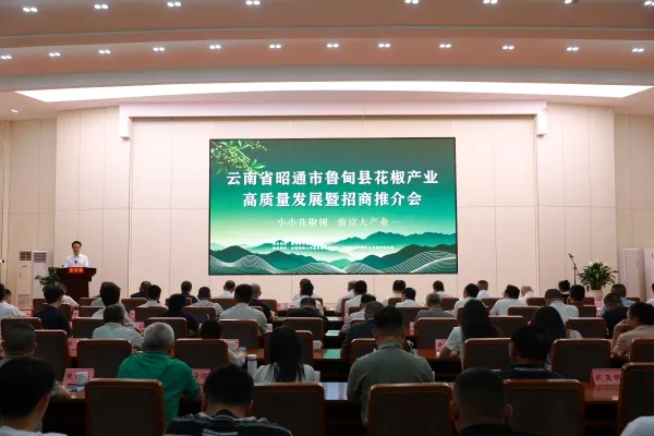 鲁甸县花椒产业高质量发展暨招商推介会成功举办