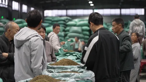 鲁甸县花椒产业高质量发展暨招商推介会成功举办