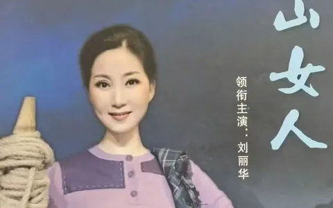 安徽省安庆市怀宁县大型优秀黄梅戏挑战女人-----作者陈何来