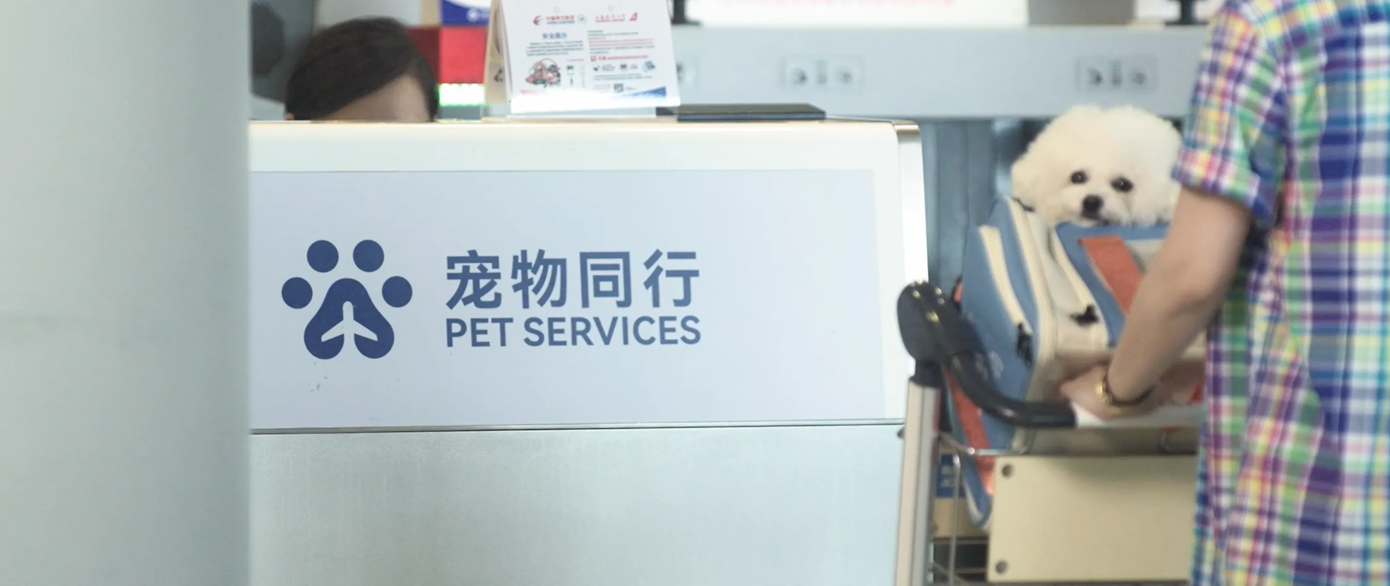 视频《“城”意十足》:起落间遇见都市万象与人间烟火