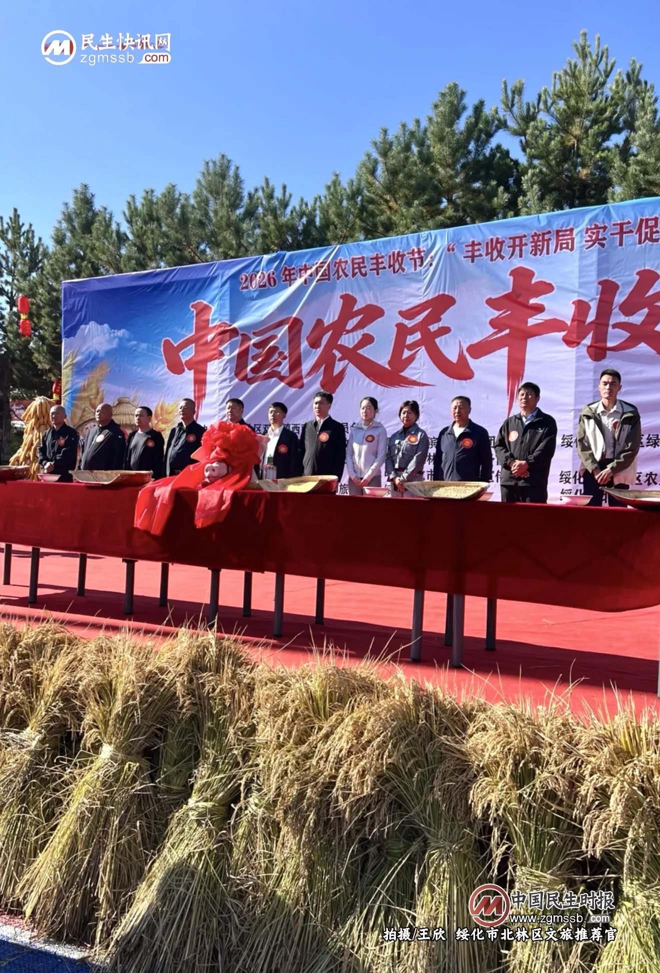 【观察眼】亲历绥化丰收节：遍地金黄，满眼烟火