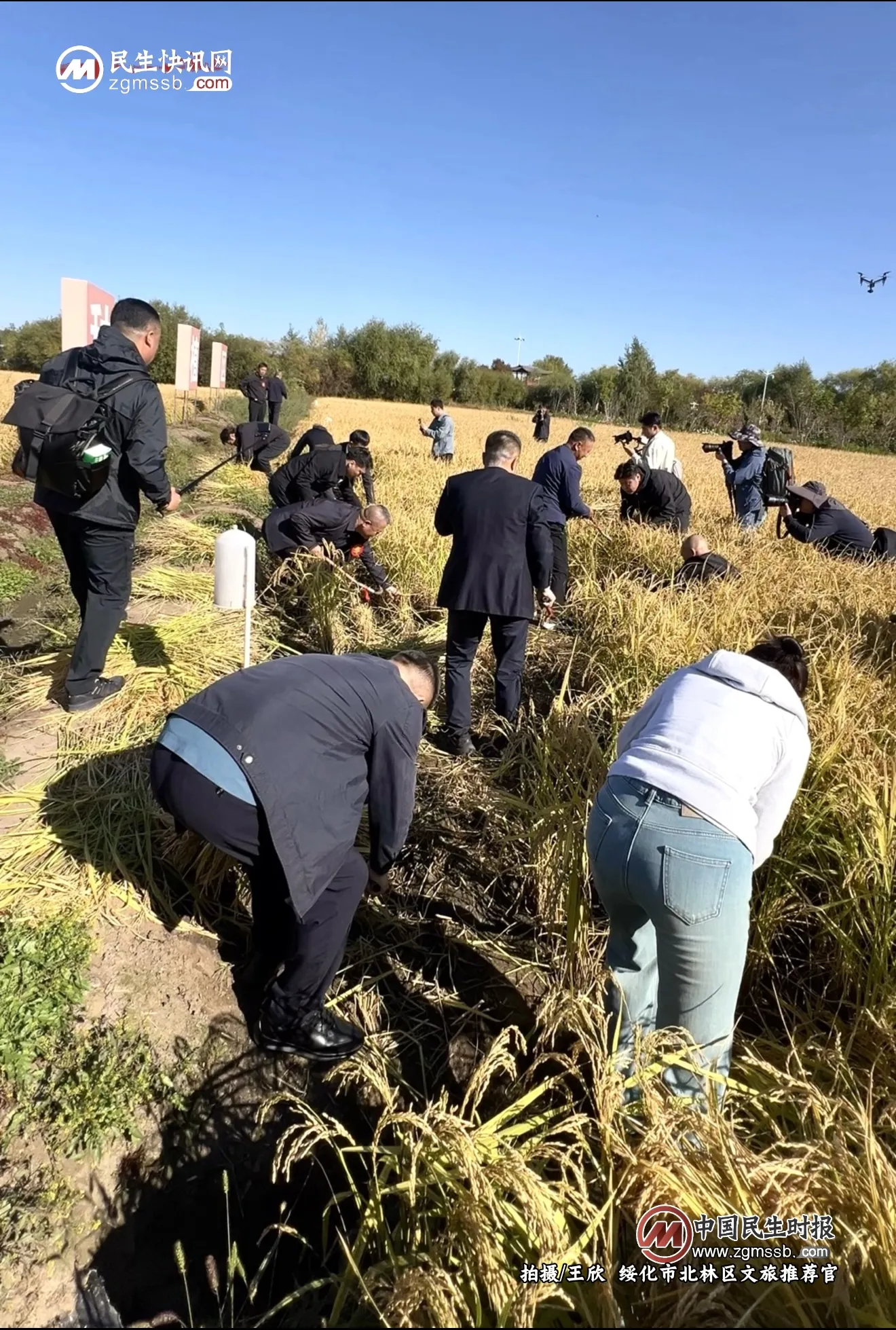 【观察眼】亲历绥化丰收节：遍地金黄，满眼烟火