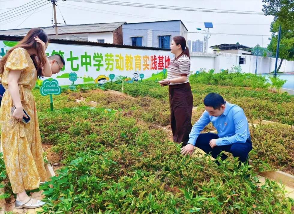 深耕团建阵地 共筑育人格局