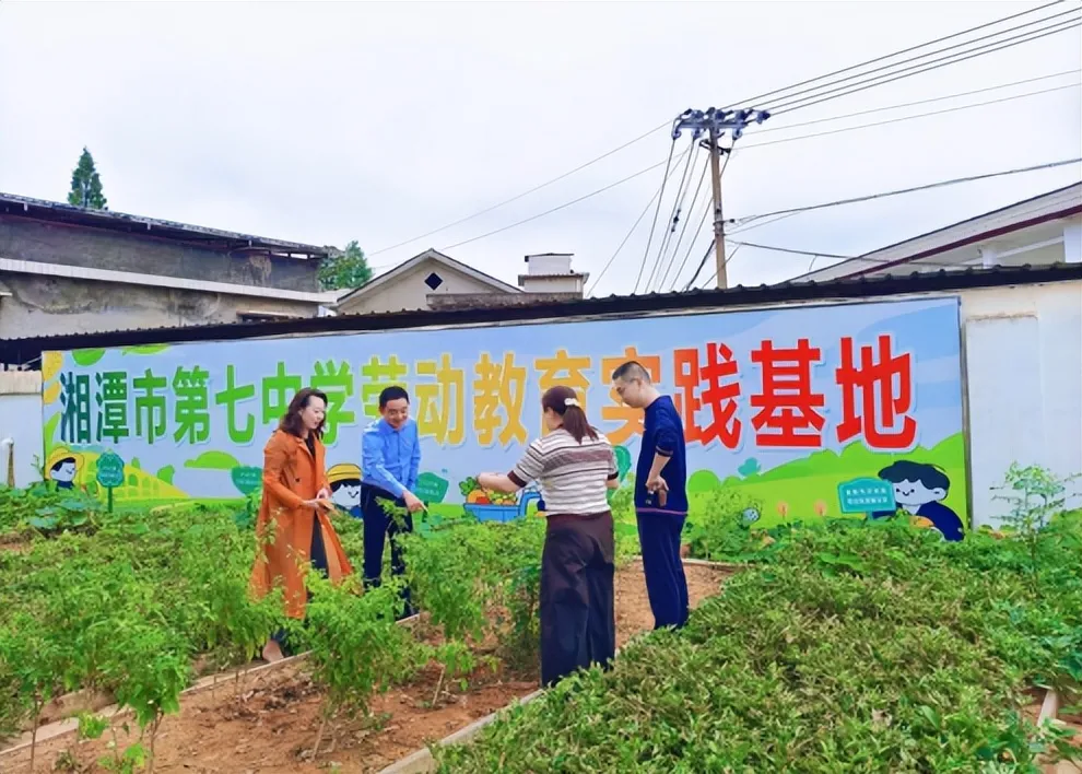 深耕团建阵地 共筑育人格局