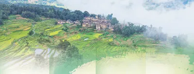 哈尼梯田在保护利用中生机勃发—— 千年古梯田,山水赋新韵(文化中国行·人文观察·申遗成功之后②) 本报记者 刘 阳 杨文明