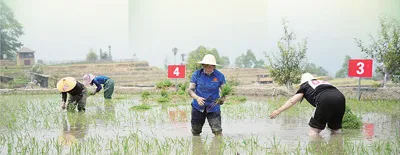 哈尼梯田在保护利用中生机勃发—— 千年古梯田,山水赋新韵(文化中国行·人文观察·申遗成功之后②) 本报记者 刘 阳 杨文明